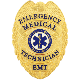 EMS Badge Reel EMS EMS Gift Emergency Medical Services Badge Reels