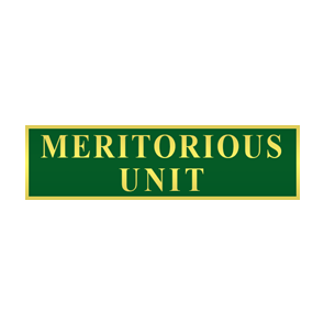 Blackinton Meritorious Unit Commendation Bar A11679 (3/8")