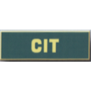 Blackinton CIT Commendation Bar A12753 (3/8")