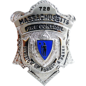 Blackinton B1311-D Shield Badge