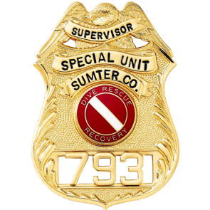 Blackinton B1759 Shield Badge with Eagle