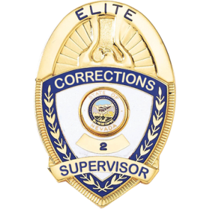 Blackinton B2636 Corrections Shield Badge