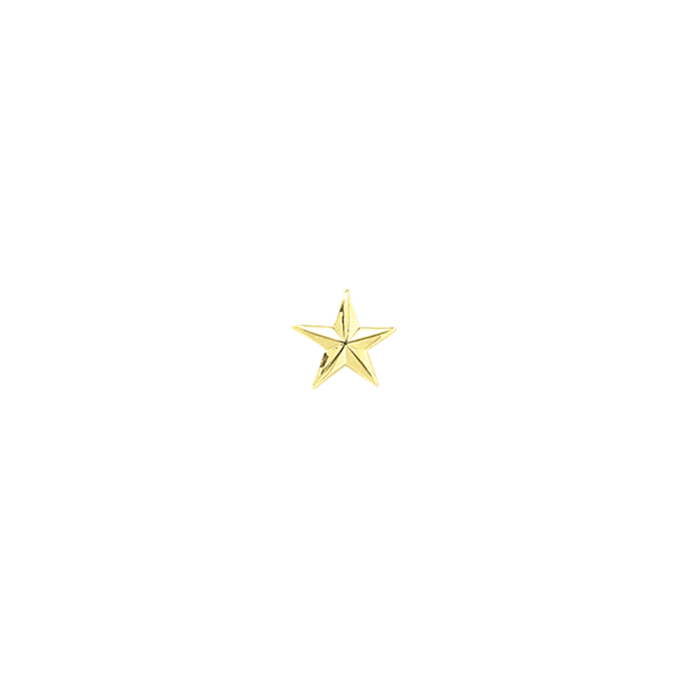 Blackinton A6129 Smooth Star (7/16") (Individual) Blackinton A6129 Smooth Star (7/16") (Individual)