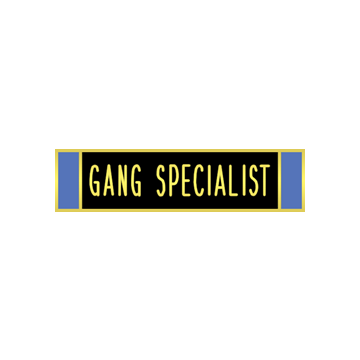 Blackinton A11364 Gang Specialist Recognition Bar (5/16")