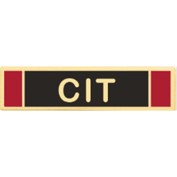 Blackinton A11446-B CIT Commendation Bar (5/16")