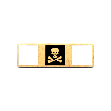 Blackinton A11754 Skull and Cross Bone Commendation Bar (3/8")