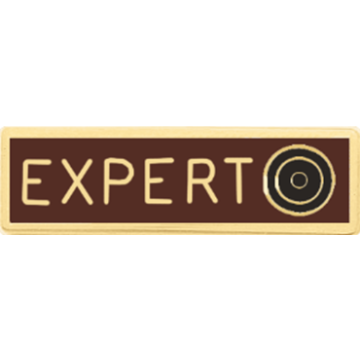 Blackinton A11772-D Expert Shooter Recognition Award Bar (1-3/8" x 3/8")