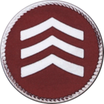 Blackinton A12520 Sergeant Chevron Round Cap Badge (1-1/2")