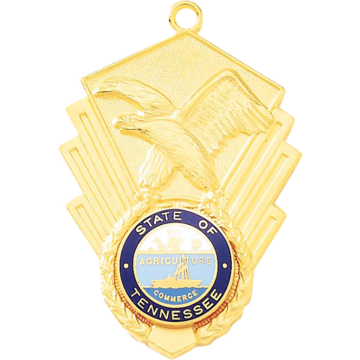 Blackinton A2756 Eagle Plain Medal
