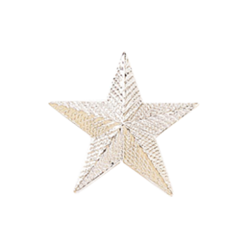 Blackinton A5494 Embossed Star (5/8") (Individual)
