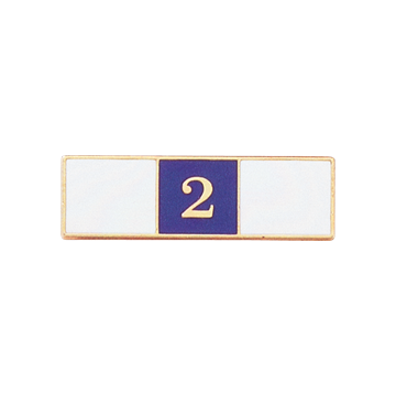 Blackinton A7142-D Two Years of Service Recognition Bar (3/8")