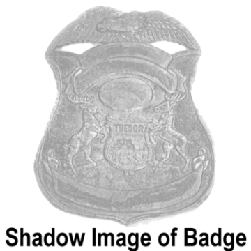 Blackinton BC2392 Michigan Badge with Full Color Seal (2-7/16" x 2")