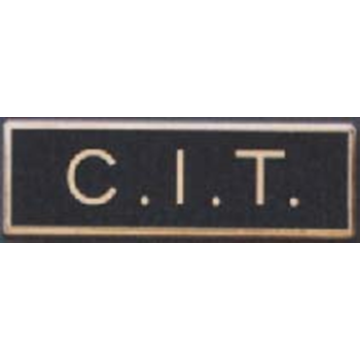 Blackinton C17349 C.I.T Commendation Bar (3/8")