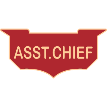 Smith & Warren C506E_ASST_CHIEF Enameled Asst. Chief Title Panel Pin