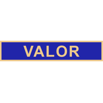 Smith & Warren C584VALOR Service Award Bar for Valor