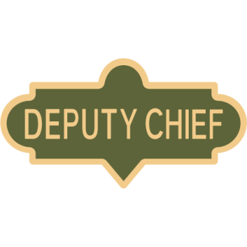 Smith & Warren C624_DEPUTY_CHIEF Large Deputy Chief Enameled Lapel Pin