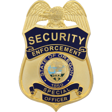 Security Enforcement Special Officer EP-128