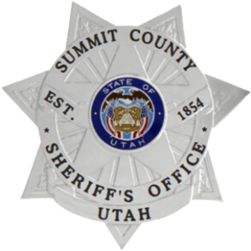 Blackinton FlexBadge FLX3683 - 7 Point Star Badge (2-7/8" x 1-3/4")