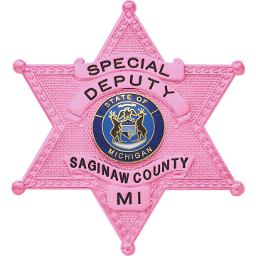 Smith & Warren S241 Pink Breast Cancer Awareness Large Six-Point Star Badge