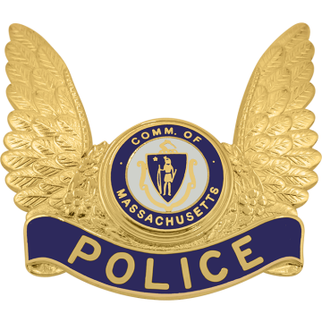 Smith & Warren S656R Winged Hat Badge with Reverse Enamel Panels (2-1/8" x 2-1/4")