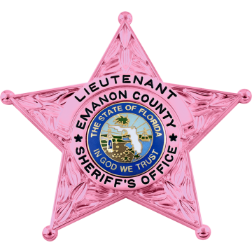 Smith & Warren S689 Pink Breast Cancer Awareness 5-Point Star Badge