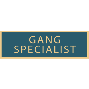 Smith & Warren Gang Specialist Service Bar SAB3_125