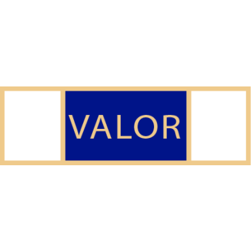 Smith & Warren SAB3_28 Medal of Valor Service Award Bar