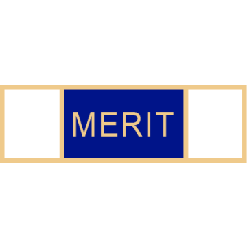 Smith & Warren SAB3_29 Medal of Merit Service Award Bar