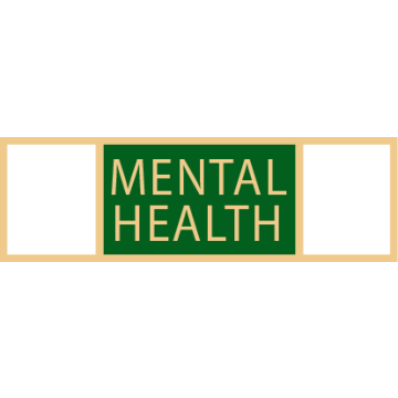 Smith & Warren SAB3_489 Three Section Mental Health Service Award Bar