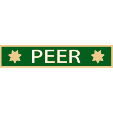 Smith & Warren SAB7_93 One Section PEER Service Award Bar (1-7/8" x 3/8")